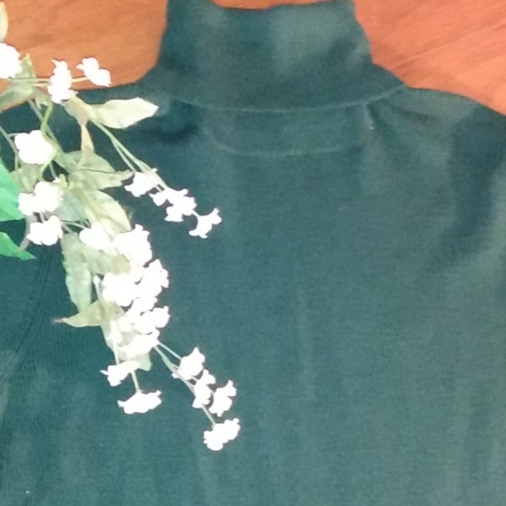 Old Navy Wool Blend Turtle Neck Sweater - Picture 3 of 12
